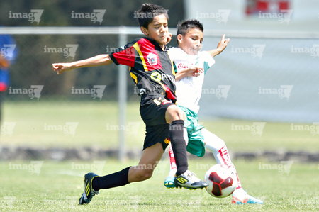 Agencia de fotografía deportiva -- IMAGO 7